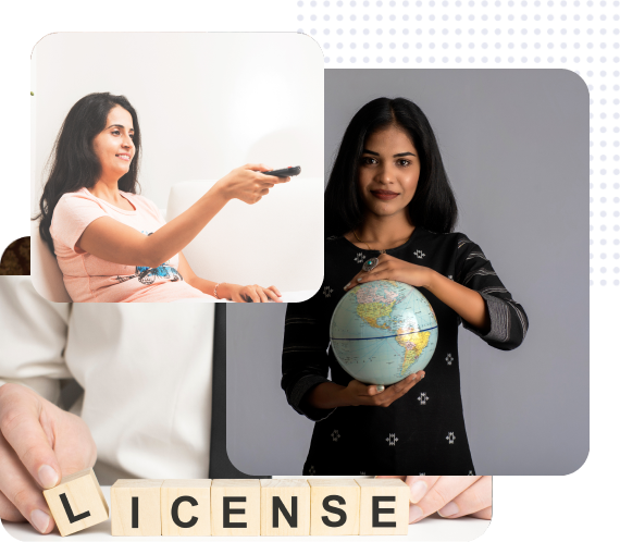 Film Distribution & Licensing